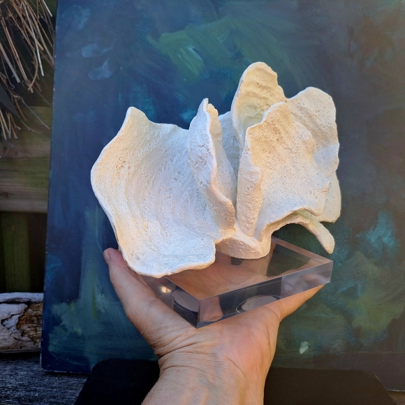 Faux white Coral Decor on Acrylic Base - Picture 2 of 10